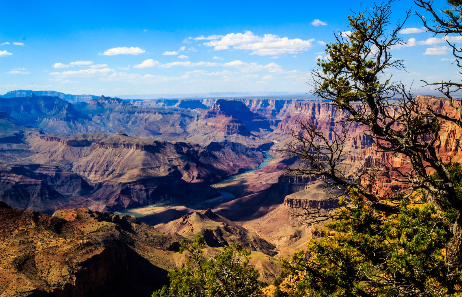 Arizona