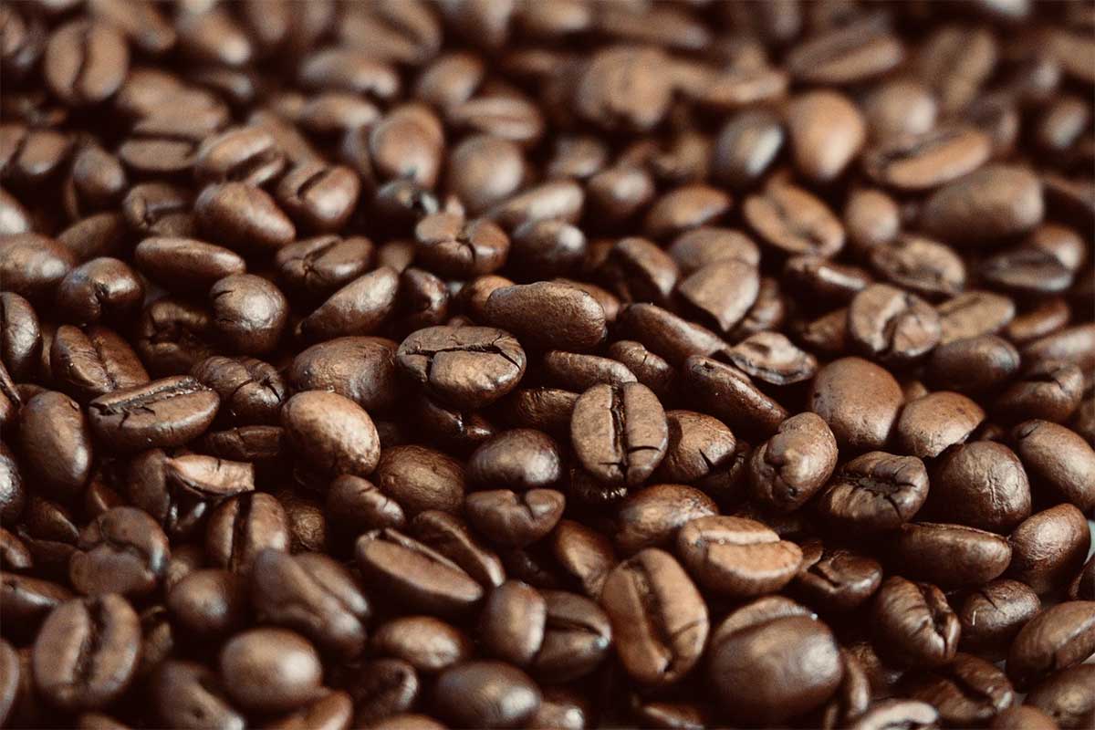 Cips Coffee Roasters