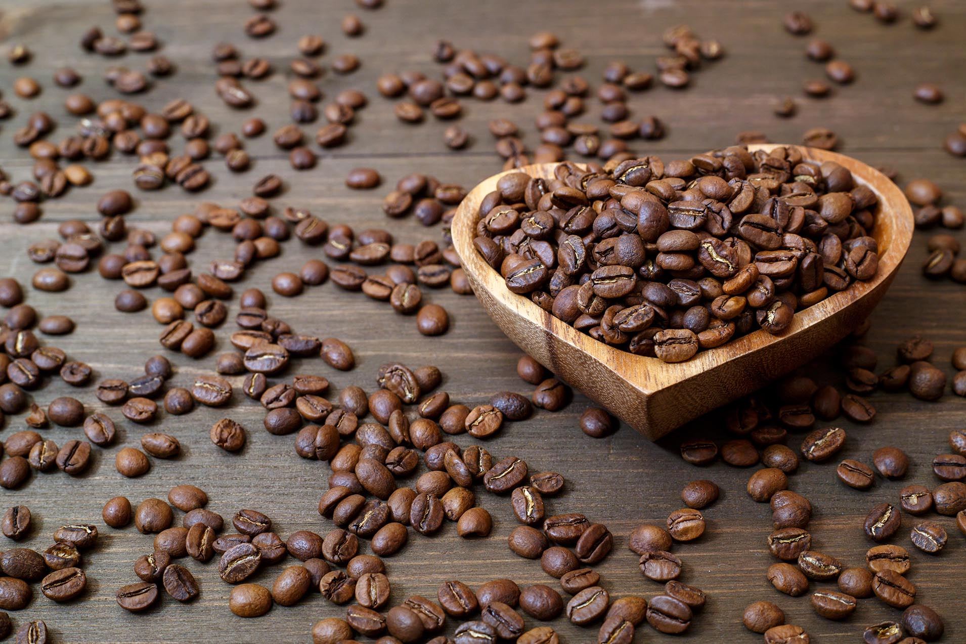 Creative Coffees Roastery
