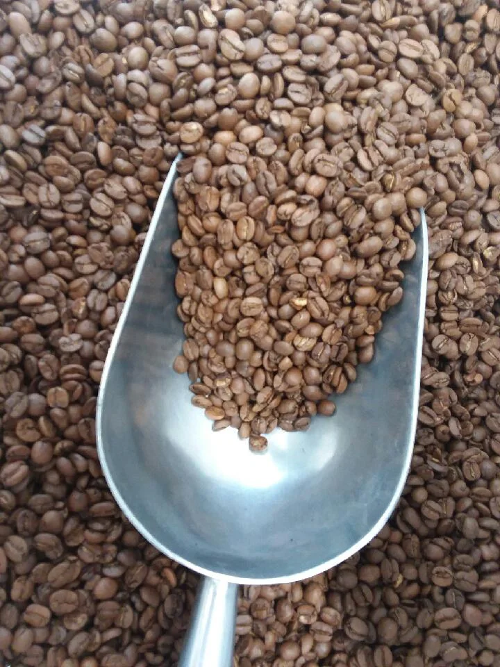 Crimson Anchor Coffee Roasters