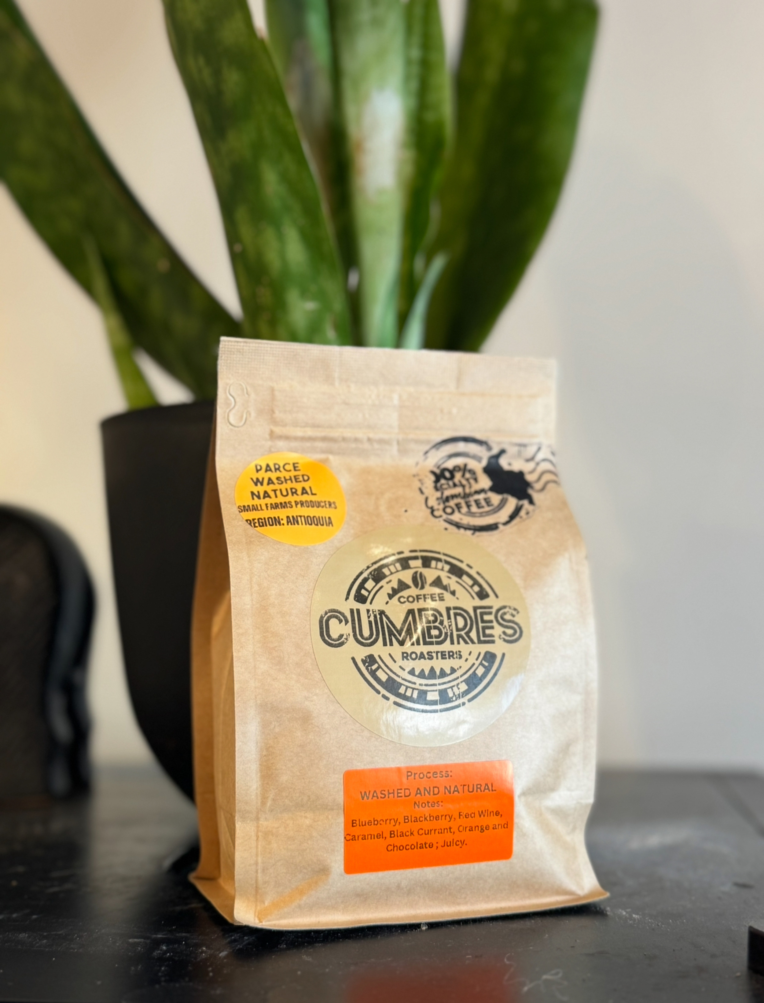 Cumbres Coffee Roasters Delray