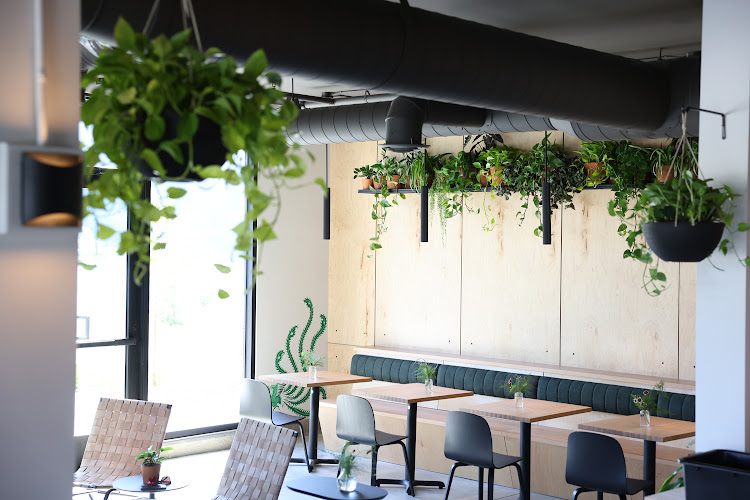 DOMA Coffee Roasting Company - Cafe