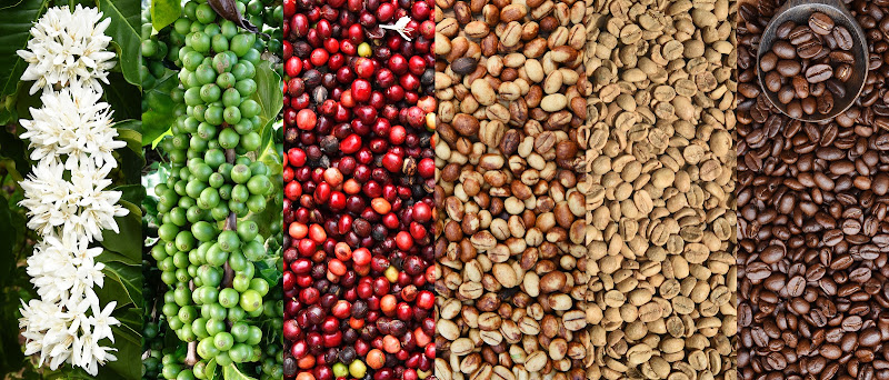 Fabiano’s Coffee Roasters