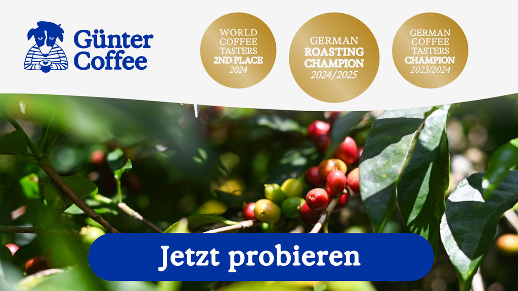 Günter Coffee Roasters | NUR ANLIEFERUNG