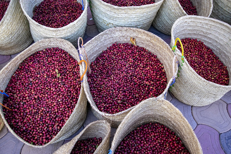 Red Sea Coast Coffee
