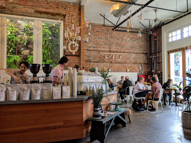 Scout Coffee