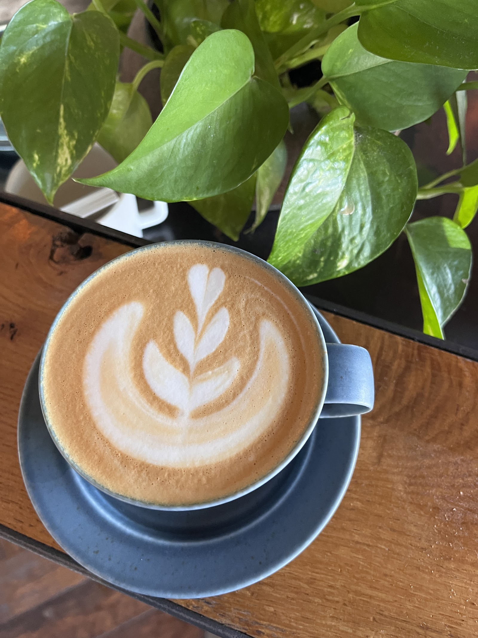 Corvus Coffee Roasters