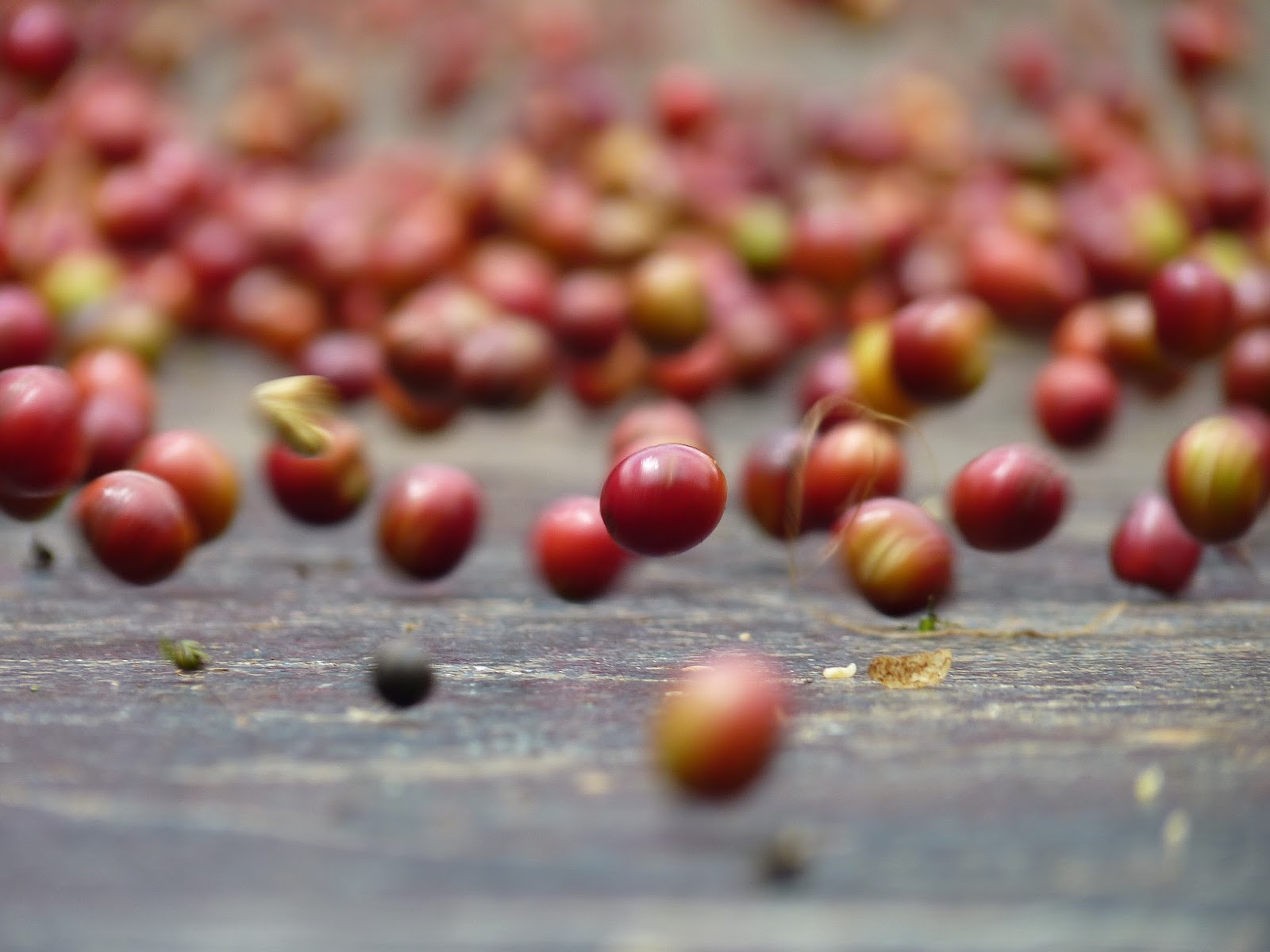 Wonderstate Coffee Roasters