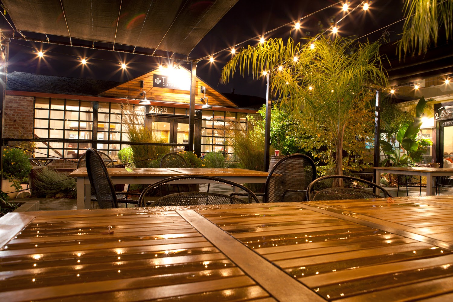 Temple Coffee Roasters