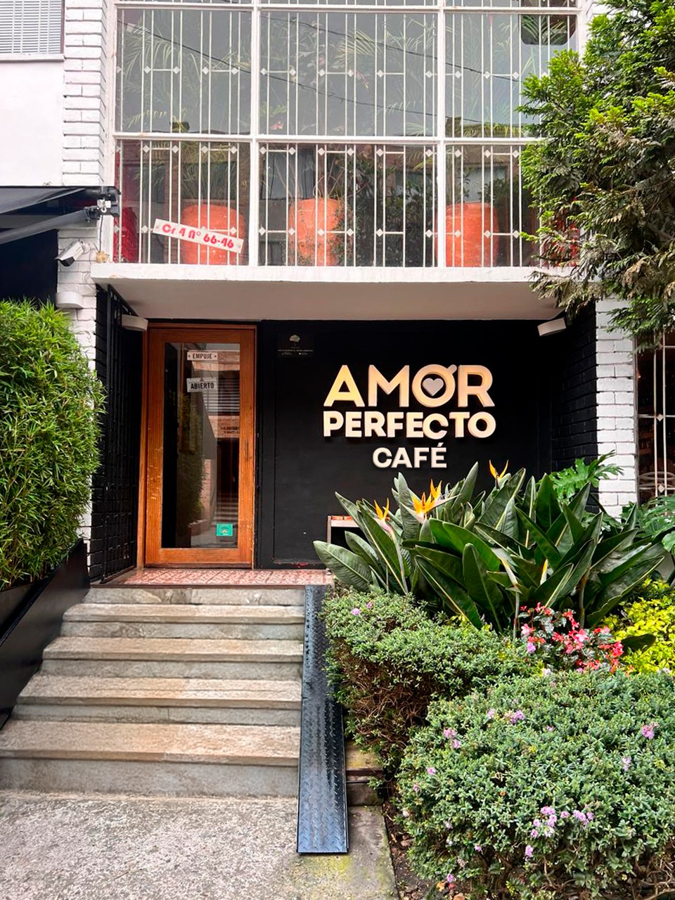 Amor Perfecto