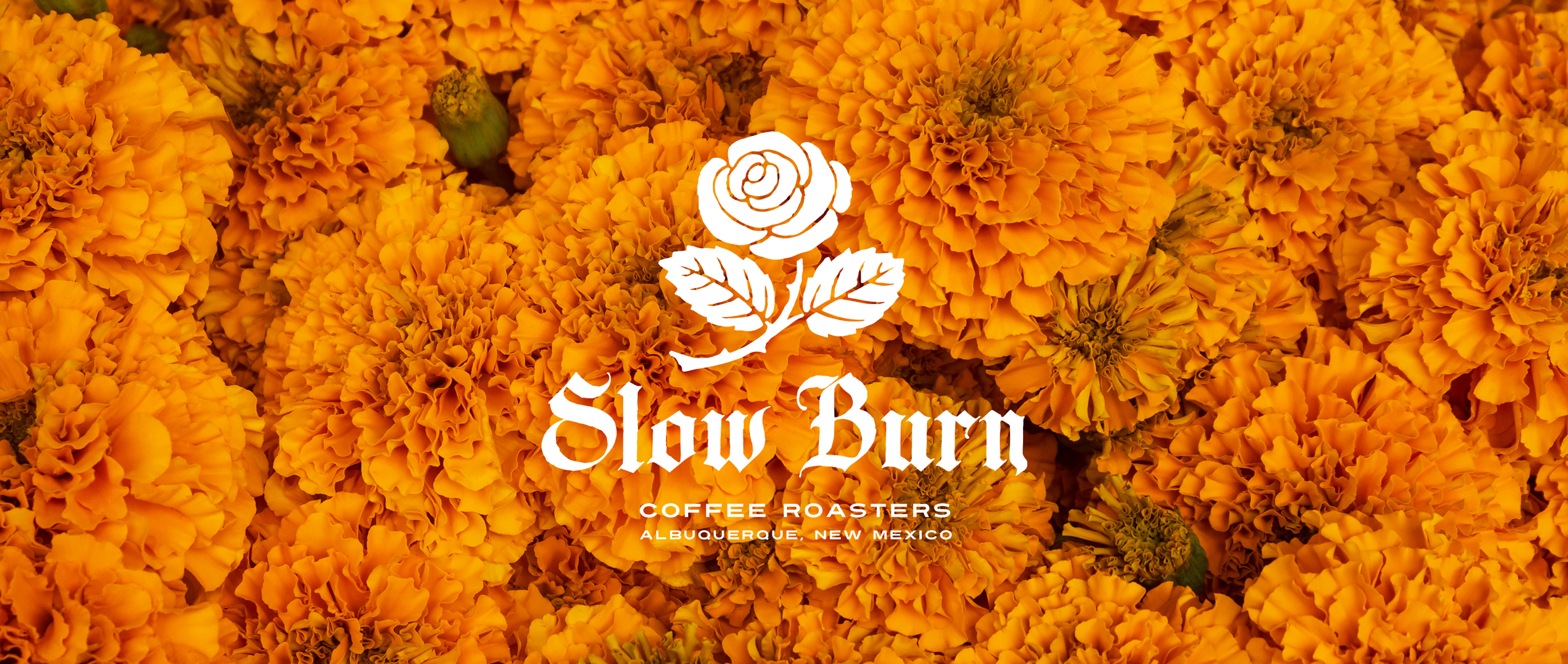 Slow Burn Coffee Roasters