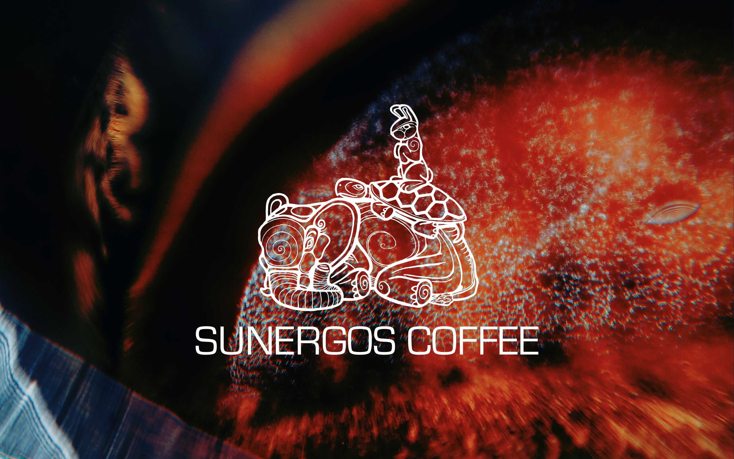 Sunergos Coffee
