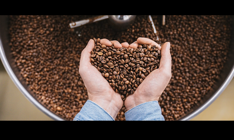 The Coffee Company