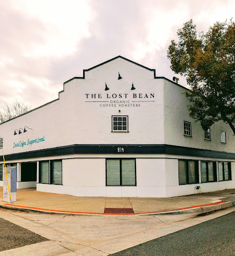 The Lost Bean