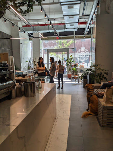 White Noise Coffee Co.